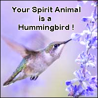 Your spirit animal is a hummingbird! A hummingbird symbolizes: • happiness of life • grace of being • cleanses negativity • enjoying the sweetness of life • expression of love • high energy needs hummingbird