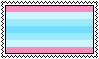 transmasc flag